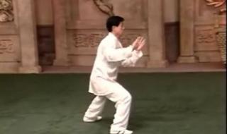 陈正雷老架一路教学